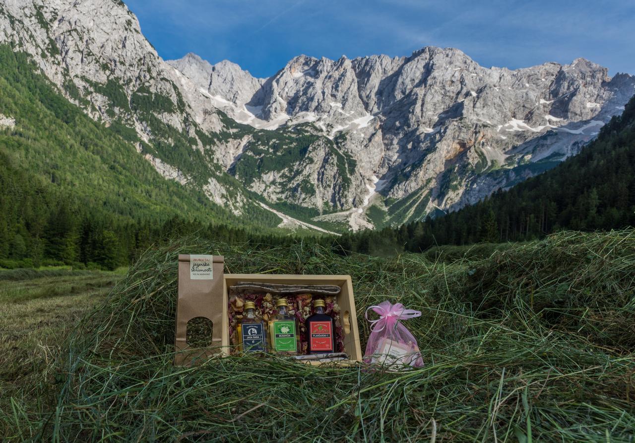 Cvet Gora - Camping, Glamping And Accomodations Zgornje Jezersko Zewnętrze zdjęcie