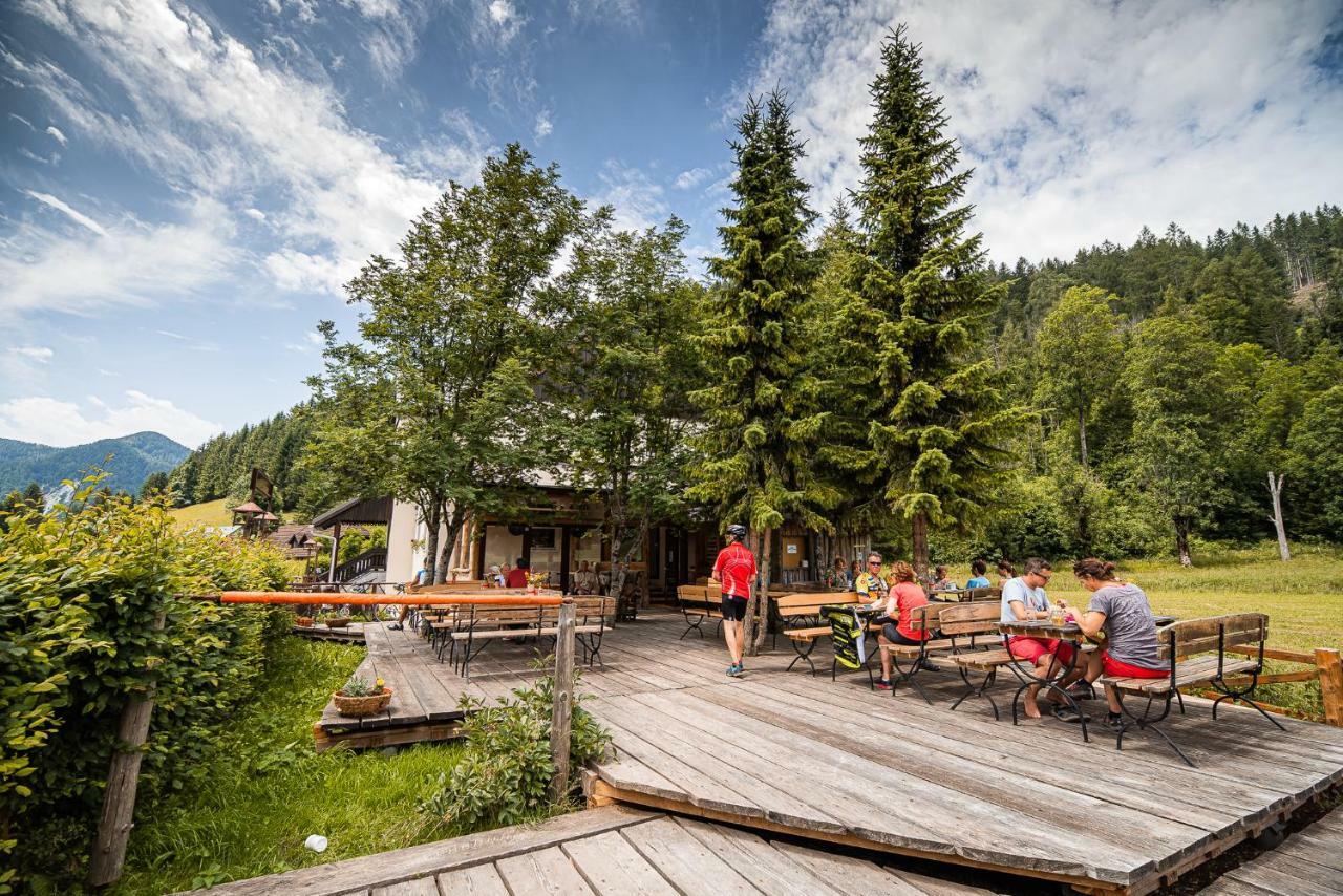 Cvet Gora - Camping, Glamping And Accomodations Zgornje Jezersko Zewnętrze zdjęcie